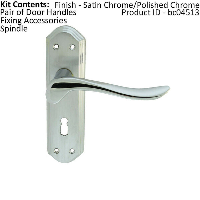 PAIR Curved Lever on Sculpted Edge Backplate 180 x 48mm Satin/Polished Chrome Loops