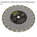 Easy Cut Diamond Blade - 300mm Diameter - 20mm Bore - Angle Grinder Cutting Disc Loops