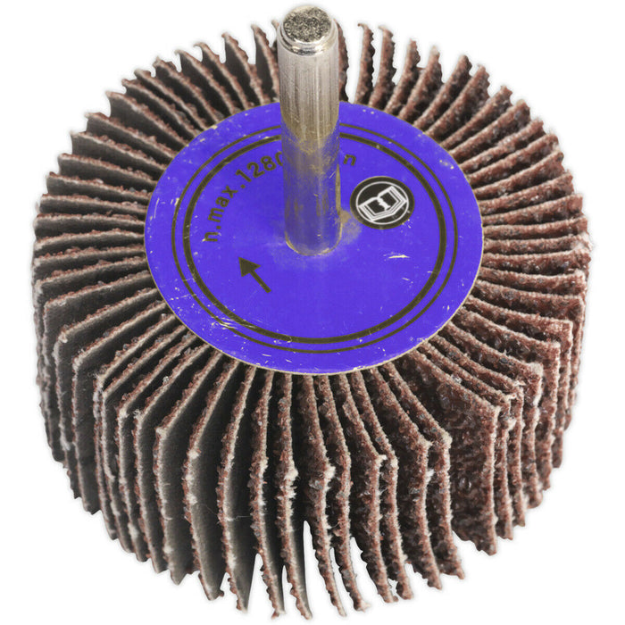 25 x 20mm Aluminium Oxide Flap Wheel - 6mm Shaft - 80 Grit - Abrasive Sanding Loops