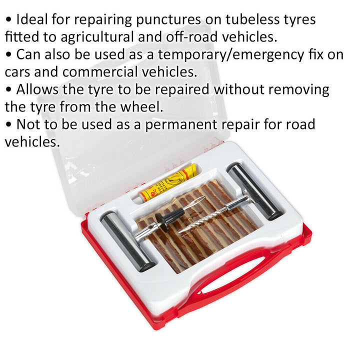 Temporary Car & Van Tyre Puncture Repair Kit - Emergency Tubeless Offroad Tyres Loops