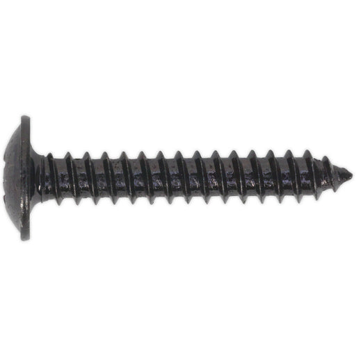 100 PACK 4.2 x 25mm Self Tapping Black Screw - Flanged Pozi Head - Fixings Screw Loops