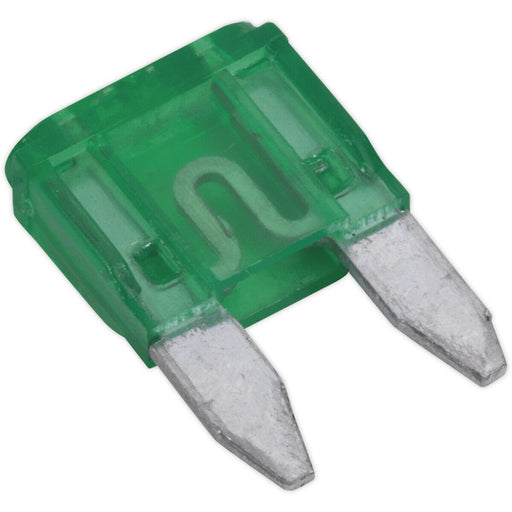 50 PACK 30A Automotive MINI Blade Fuse Pack - 2 Prong Vehicle Circuit Fuses Loops