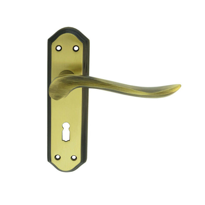 PAIR Curved Handle on Sculpted Lock Backplate 180 x 48mm Florentine Bronze Loops