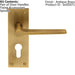 PAIR Flat Straight Lever on Slim Euro Lock Backplate 150 x 50mm Antique Brass Loops
