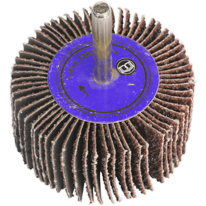 80 x 50mm Aluminium Oxide Flap Wheel - 6mm Shaft - 40 Grit - Abrasive Sanding Loops