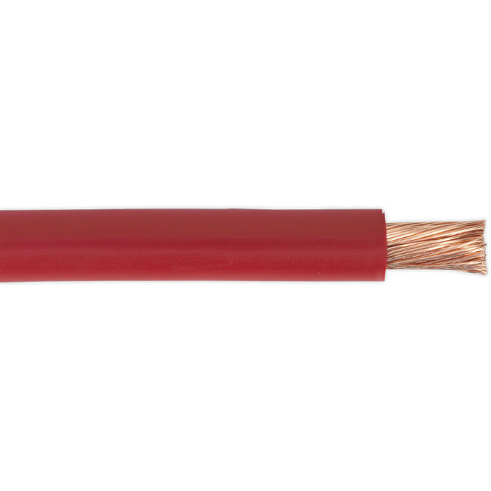 10m Automotive Starter Cable - 170 Amp - Single Core - Copper Conductor - Red Loops