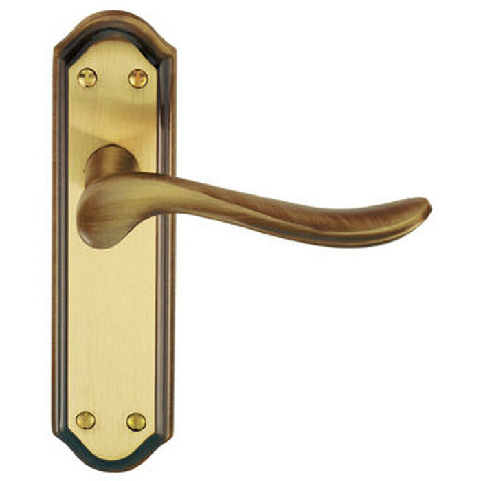 PAIR Curved Handle on Sculpted Latch Backplate 180 x 48mm Florentine Bronze Loops