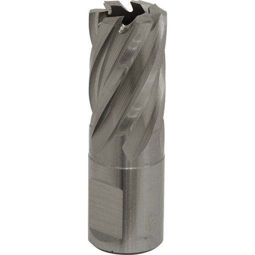 19mm x 25mm Depth Rotabor Cutter - M2 Steel Annular Metal Core Drill 19mm Shank Loops