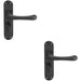 2x PAIR Smooth Rounded Lever on Shaped Bathroom Backplate 185 x 42mm Matt Black Loops