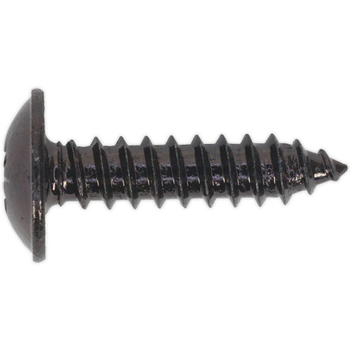 100 PACK 4.8 x 19mm Self Tapping Black Screw - Flanged Pozi Head - Fixings Screw Loops