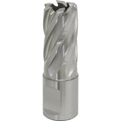 17mm x 25mm Depth Rotabor Cutter - M2 Steel Annular Metal Core Drill 19mm Shank Loops