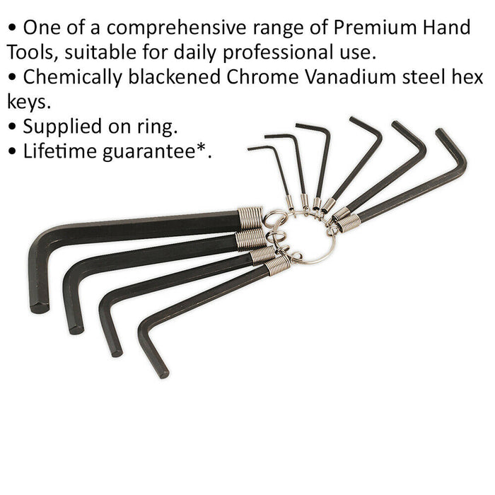 10 Piece Hex Key Set on Ring - Blackened Chrome Steel Allen Keys - 1.5mm to 10mm Loops