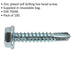 100 PACK 4.8 x 25mm Self Drilling Hex Head Screw - Zinc Plated Fixings Screw Loops