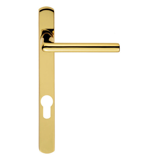 PAIR Straight Lever on Narrow Euro Lock Backplate 220 x 26mm Stainless Brass Loops