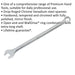 10mm x 189mm Extra Long Combination Spanner -  Chrome Vanadium Steel Nut Wrench Loops