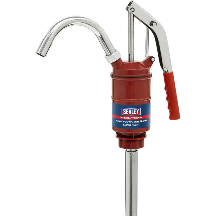 Heavy Duty High Flow Lever Pump - Steel Barrelled - 2" BSP - 400ml Per Stroke Loops