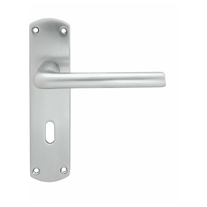 2x Rounded Straight Bar Handle on Lock Backplate 170 x 42mm Satin Chrome Loops