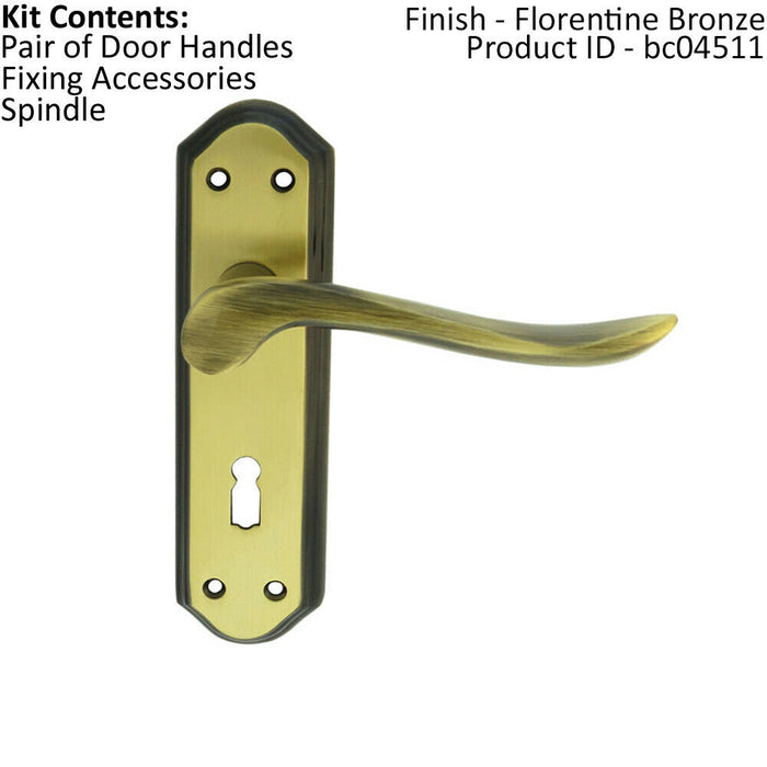 PAIR Curved Handle on Sculpted Lock Backplate 180 x 48mm Florentine Bronze Loops