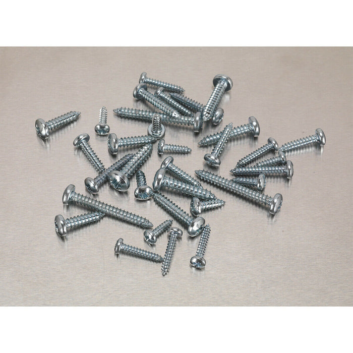 700 PACK Self Tapping Screw Assortment - Zinc Pan Head Pozi - Various Sizes Loops