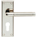 PAIR Round Bar Lever on Euro Lock Backplate 150 x 50mm Polished & Satin Nickel Loops