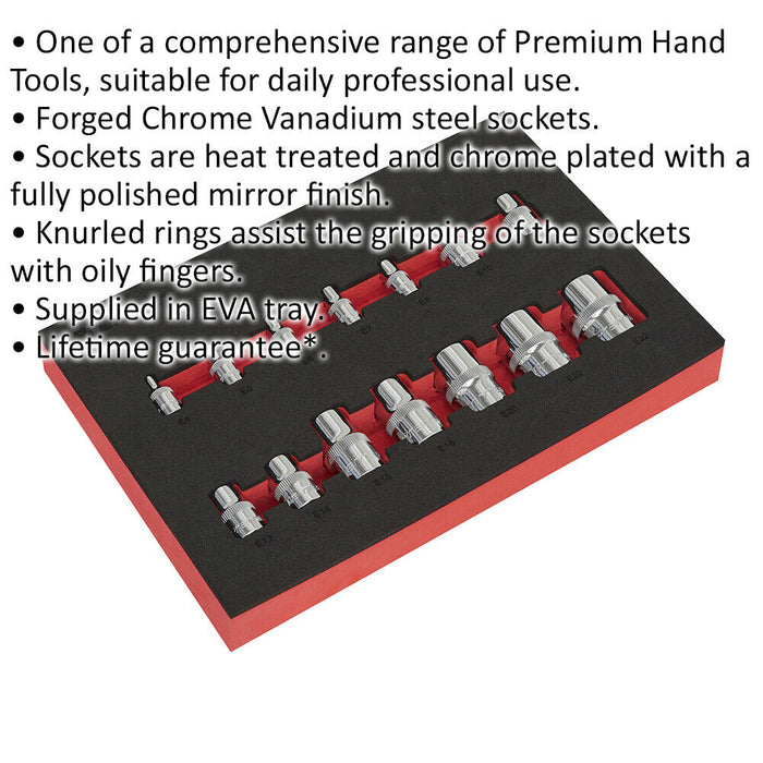 14 PACK TRX Star Socket Set - 1/4" 3/8" 1/2" Square Drive Chrome Vanadium Steel Loops
