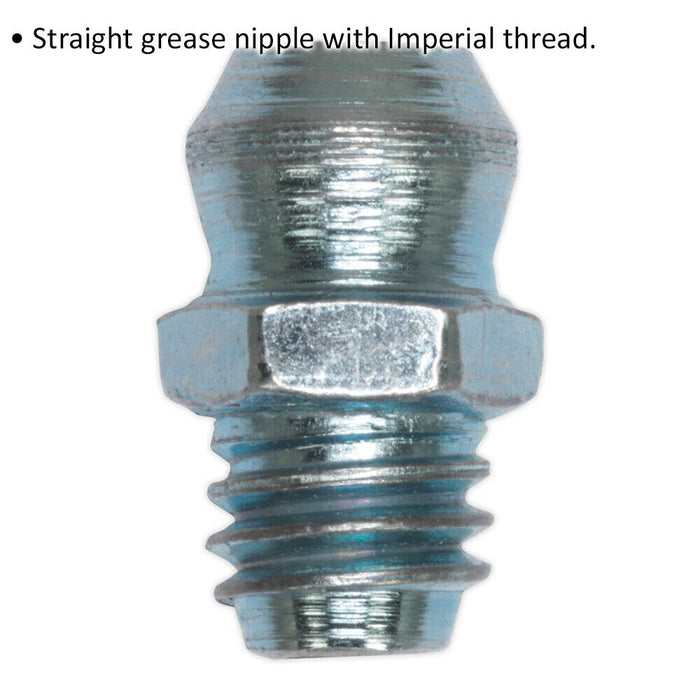 25 PACK Straight Grease Nipple Fitting - 1/8 Inch BSP Gas Imperial Thread Loops