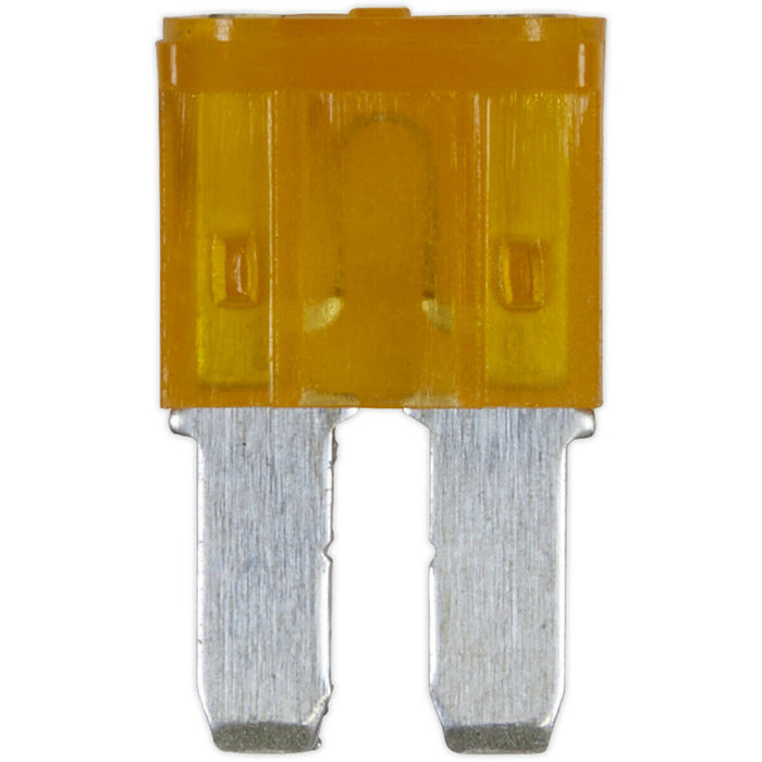 50 PACK 5A Automotive Micro 2 Blade Fuse Pack - 2 Prong Vehicle Circuit Fuses Loops