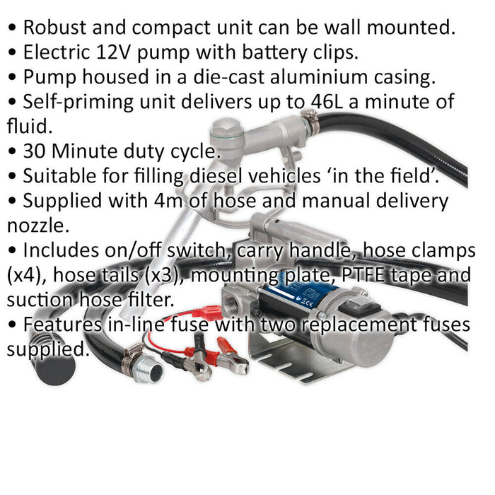 12V Portable Diesel & Fluid Transfer Pump - Self-Priming Manual Delivery Nozzle Loops