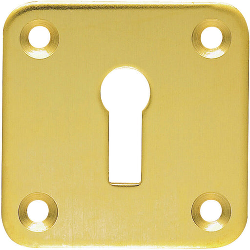 Standard Lock Profile Open Escutcheon 50 x 50mm Polished Brass Keyhole Cover Loops