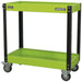 Heavy Duty 2 Level Workshop Trolley - 80kg Per Shelf - Locking Castors - Green Loops