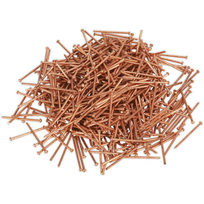 500 PACK - 2.5mm x 50mm Stud Welding Nails - Car Dent Copper Pulling Spot Pins Loops