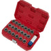 21pc Locking Wheel Nut Key Set - DEALERS & REPAIR CENTRES ONLY - For Audi Loops