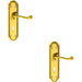 2x PAIR Reeded Scroll Handle on Shaped Lock Backplate 205 x 49mm Polished Brass Loops