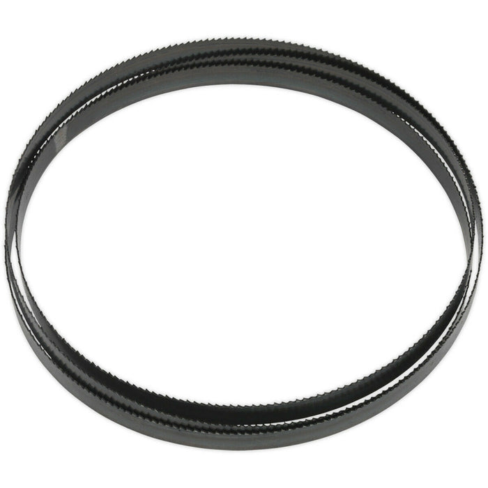 1638 x 13 x 0.63mm Bi-Metal Bandsaw Blade - 10 TPI Hardened Cutting Edges Metal Loops