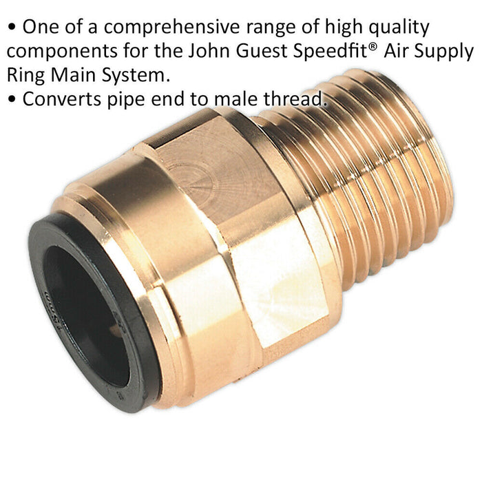 15mm x 1/2" BSPT Brass Straight Adapter - Air Supply Ring Main Pipe Male Thread Loops