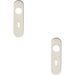 2x PAIR Radius Standard Lock Handle Key Plates 170 x 45 x 8mm Satin Steel Loops