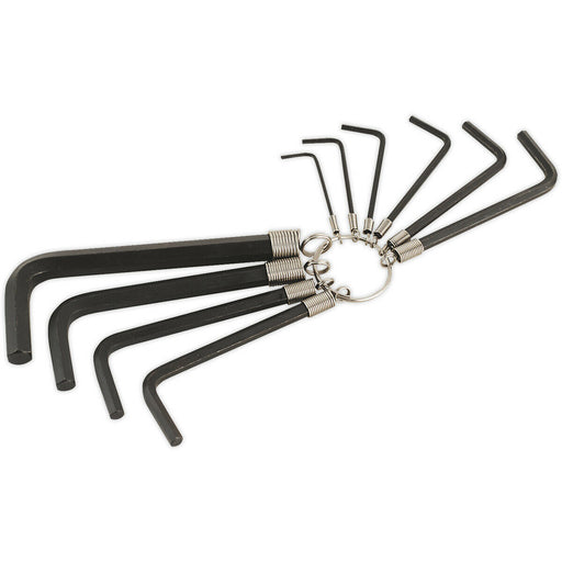 10 Piece Hex Key Set on Ring - Blackened Chrome Steel Allen Keys - 1.5mm to 10mm Loops