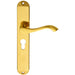 PAIR Curved Lever on Long Slim Euro Lock Backplate 241 x 40mm Polished Brass Loops