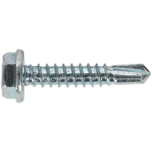 100 PACK 4.8 x 25mm Self Drilling Hex Head Screw - Zinc Plated Fixings Screw Loops