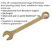 22mm Non-Sparking Combination Spanner - Open-End & 12-Point WallDrive Ring Loops