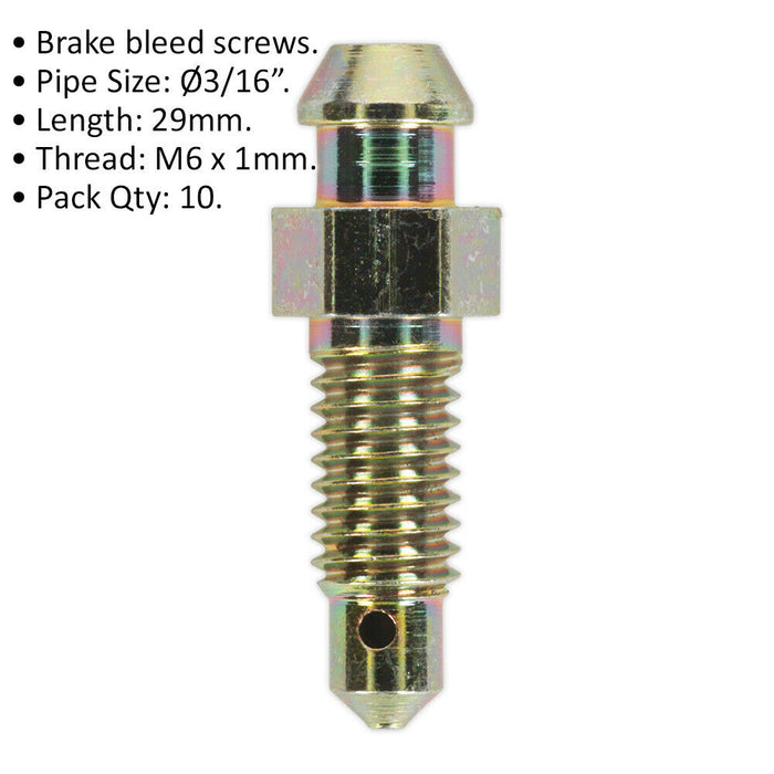 10 PACK - M6 x 29mm Brake Bleed Screw - 1mm Pitch - Fits 3/16 Inch Pipes Loops