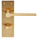 PAIR Flat Straight Handle on Slim Bathroom Backplate 150 x 50mm Satin Brass Loops