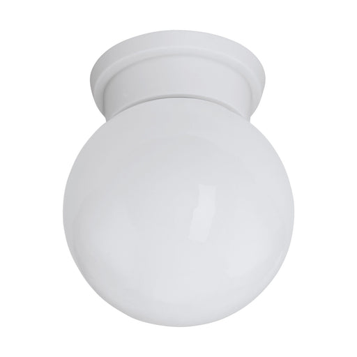 Flush Ceiling Light Round White Glass Shade & Plastic Back Plate Bulb E27 28W Loops