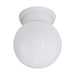 Flush Ceiling Light Round White Glass Shade & Plastic Back Plate Bulb E27 28W Loops