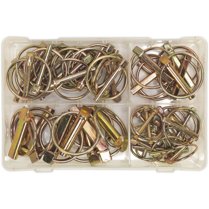 50 Piece Linch Pin Assortment - Metric Sizing - Partitioned Box - Various Sizes Loops