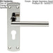 Mitred Lever Door Handle on Euro Lock Backplate 172 x 44mm Polished Steel Loops