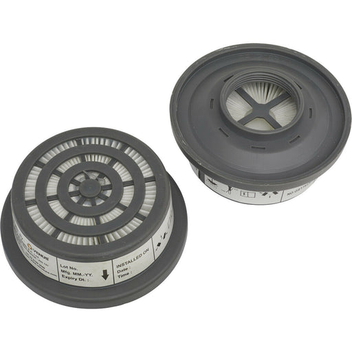 2 PACK P3R Filter Cartridge - Suitable for ys00292 Half Mask Respirator Loops