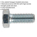 50 PACK HT Setscrew - M8 x 20mm - Grade 8.8 Zinc - Fully Threaded - DIN 933 Loops