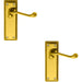 2x PAIR Reeded Design Scroll Lever on Latch Backplate 150 x 48mm Polished Brass Loops