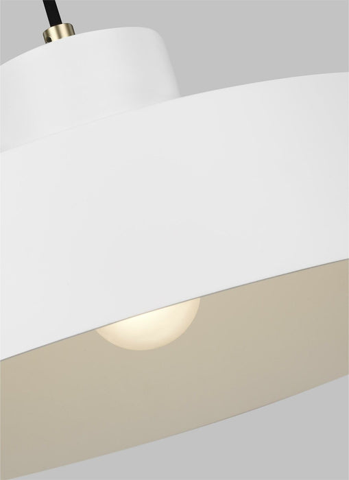 1 Bulb Ceiling Pendant Light Fitting Matte White LED E27 60W Bulb